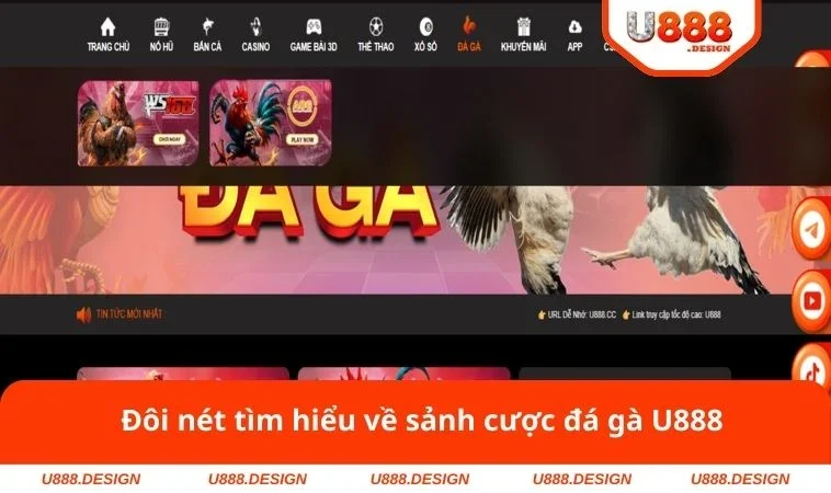 Đôi nét tìm hiểu về sảnh cược đá gà U888