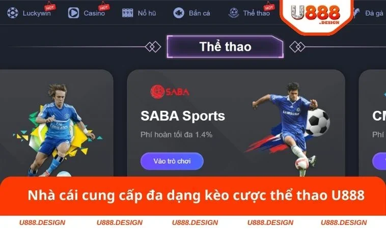 Nhà cái cung cấp đa dạng kèo cược thể thao U888
